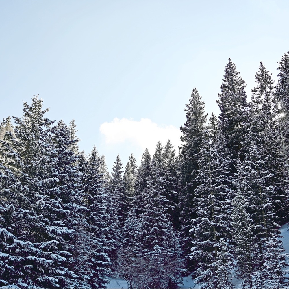 Meet your Posher, Sia